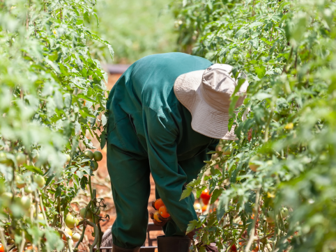 Trabajadores expuestos a radiación UV: Las obligaciones legales que debe cumplir el empleador